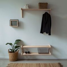 a white wall with two shelves and a plant in front of it on a rug