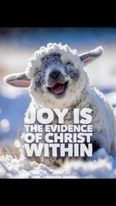 a sheep with the words joy is the evidence of christ within