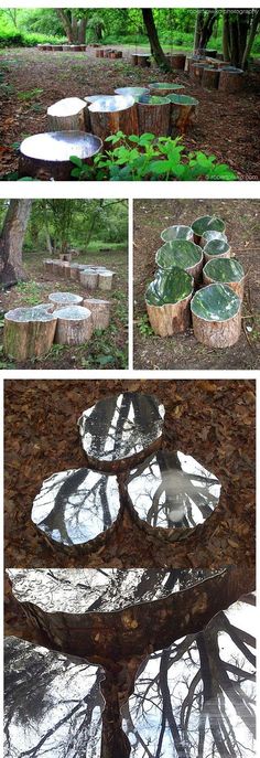 several different pictures of trees in the woods with water and leaves on them, one is upside down