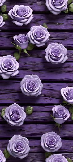 purple roses are arranged on wooden planks