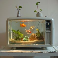 an aquarium with plants and fish in it on top of a white shelf next to a wall