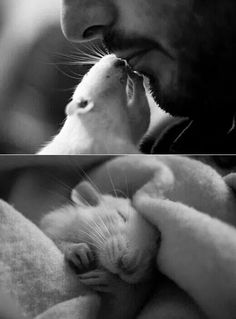 a man holding a kitten in his arms and kissing it's face with the other hand