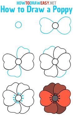 how to draw a poppy flower with easy step by step instructions for kids and beginners