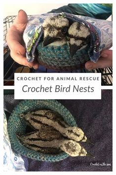 crochet for animal rescue is an easy project to learn how to crochet