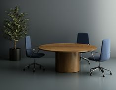 an office table with chairs and a potted plant in the corner next to it