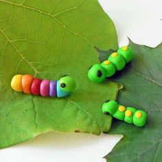 three colorful caterpillars are sitting on a green leaf