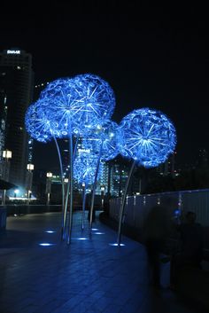 some blue lights are in the shape of trees