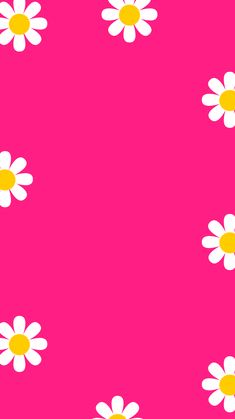 a pink background with white and yellow flowers