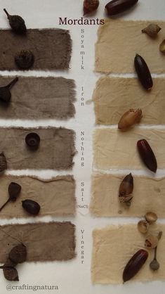 several different types of seeds are shown on the paper with words describing them as mordants