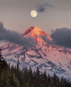 the moon is setting on top of a snow - capped mountain with pine trees in foreground