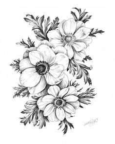 black and white drawing of flowers with leaves on the bottom half of each flower,