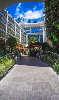 the walkway leading to an office building with trees and plants on both sides, under a blue sky