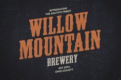 the wild mountain brewery logo is shown on a dark background with orange and black lettering