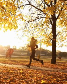 a person running in the park with leaves on the ground and trees all around them