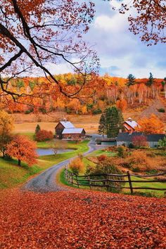 a country road surrounded by autumn foliage and trees with red leaves on the ground in front of it