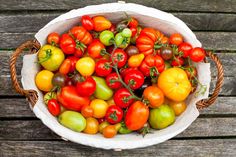 a basket filled with lots of different colored tomatoes