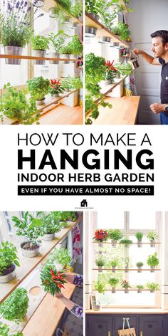 how to make a hanging indoor herb garden even if you have almost no space in it