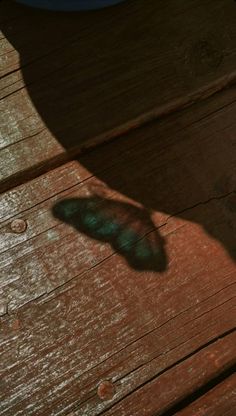 the shadow of a leaf on a wooden surface