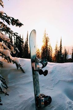 a snowboard is propped up in the snow near some trees and pines at sunset