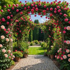 a garden with lots of pink roses growing on it's sides and an arch over the walkway