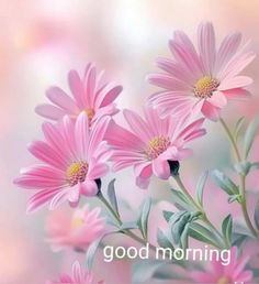 some pink flowers with the words good morning on it's bottom right hand corner