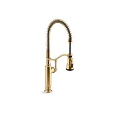 a brass colored kitchen faucet with a goose head and pull - down spout