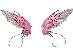 two pink butterfly wings on white background