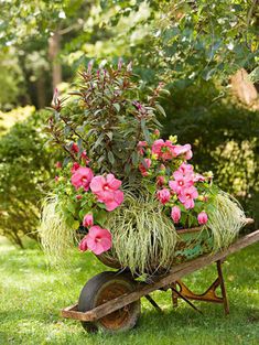 a wheelbarrow with pink flowers in it and the words clique no pin