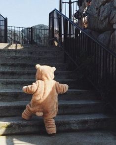 a teddy bear is walking up some stairs