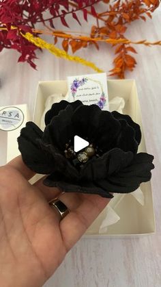 a person holding a black flower in their hand