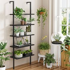 an assortment of potted plants are arranged on shelves in the corner of a room