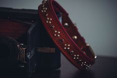 a red leather dog collar with metal studs