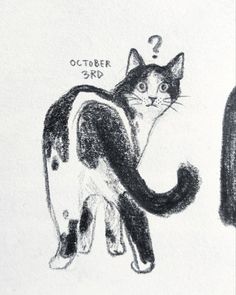 a black and white drawing of a cat with the caption october 3rd written on it