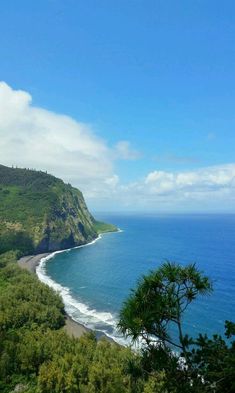 an ocean view from the top of a hill with trees and bushes around it on a sunny day