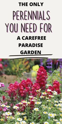 the only perennials you need for a carefree paradise garden