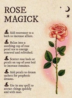 Rose Magical Properties, How To Smell Like Flowers, Basil Magic, Friday Rituals, Witchcraft Resources, Herbal Flowers, Witchy Apothecary, Witchy Artwork, Elegant Plants