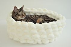 a cat is laying in a white knitted bed that looks like something out of space