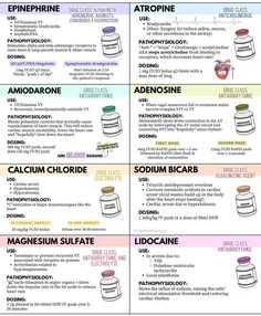 the different types of vitamins and their uses