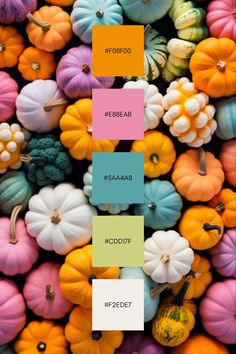 colorful pumpkins with different colors on them