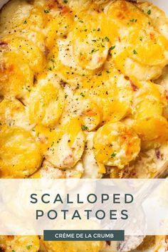 Savory Scalloped Potatoes baked in a rich, creamy cheese sauce with bacon makes the perfect side dish for any favorite meal and is a delightful addition to any holiday spread! Scalloped Potatoes With Bacon, Scallop Potatoes, Creamy Cheese Sauce, Potatoes Baked, Best Thanksgiving Recipes, Sprout Recipes, Scalloped Potatoes, Crumb Topping