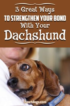 a woman hugging her dog with the words 3 great ways to strength your bond with your dachshund