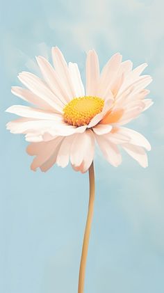 a large white flower with yellow center in front of a blue sky