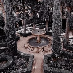 an aerial view of a fountain surrounded by trees