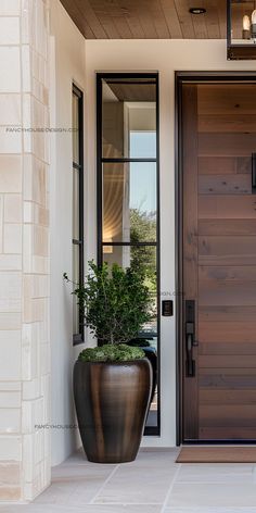 a large potted plant sitting in front of a wooden door