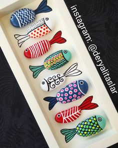 four fish painted on rocks in a white box