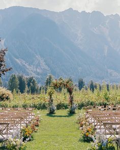 an outdoor ceremony set up with chairs and flowers in the foreground, mountains in the background