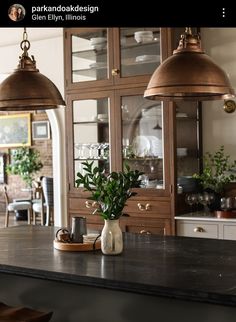 a kitchen island with two lights hanging over it and a potted plant in the center