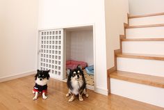 two dogs sitting on the floor in front of a dog house with its door open