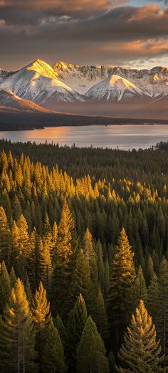 the sun shines on trees and mountains in front of a large body of water