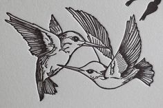 two birds flying next to each other on a white paper with black and white ink